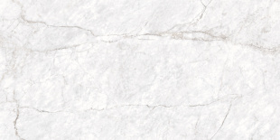 Керамогранит Ceraland Grey Bardillio (60х120) глянец